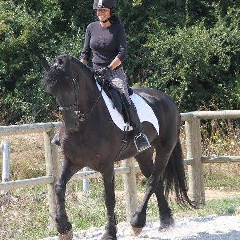 Photo de profil de mariefifi