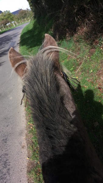 Photo de profil de mariequerido