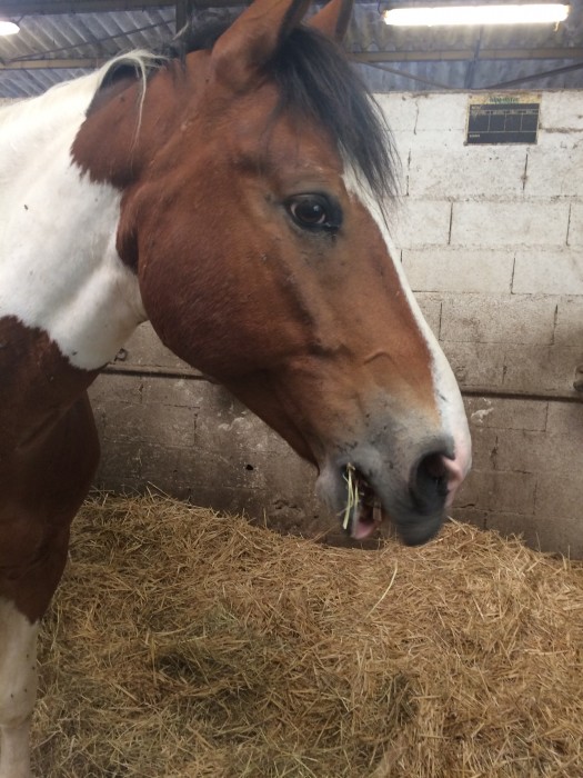 Photo de profil de marine210404