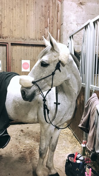 Photo de profil de marine_cha