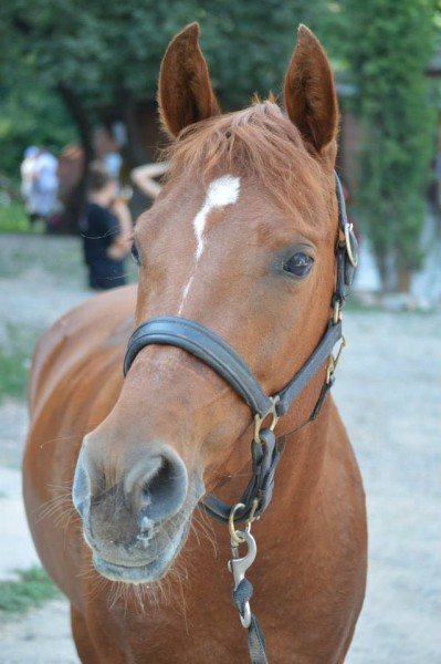 Photo de profil de marinecornuault