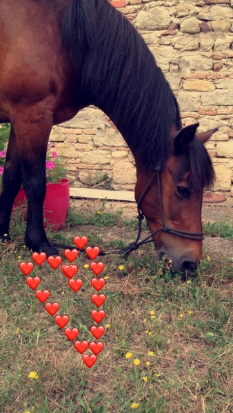 Photo de profil de marine.isidor