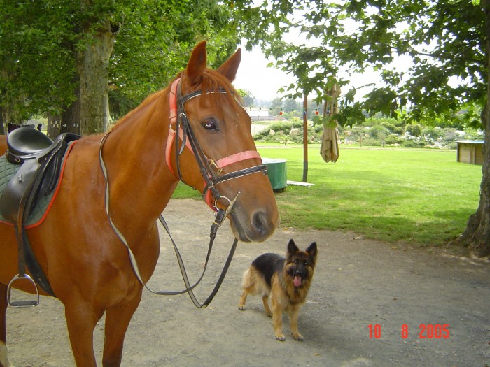 Photo de profil de marine_lanzetti