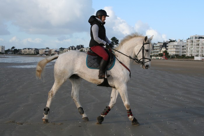 Photo de profil de marion49