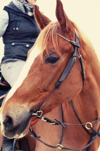 Photo de profil de marion67