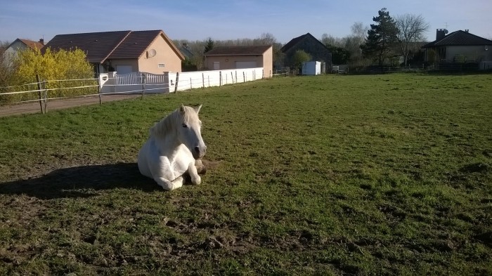 Photo de profil de mariongerbet