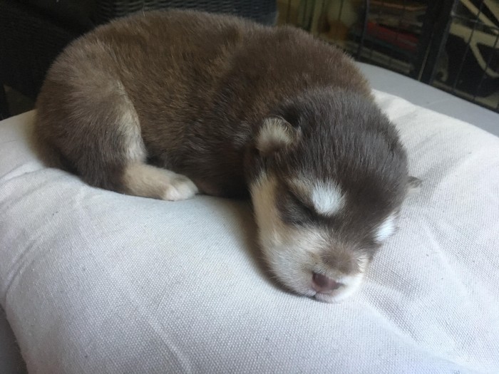 Photo de profil de marvie