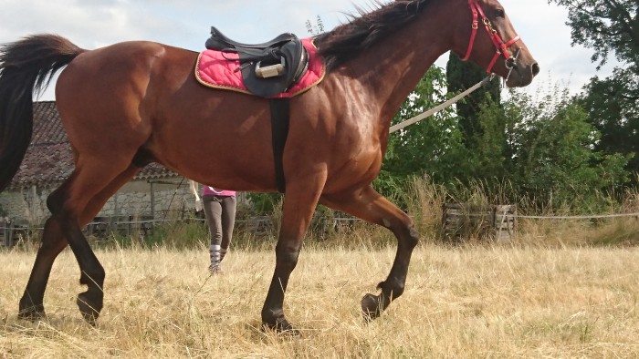 Photo de profil de mathilde.lassus