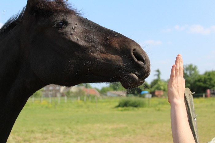 Photo de profil de math_lclr