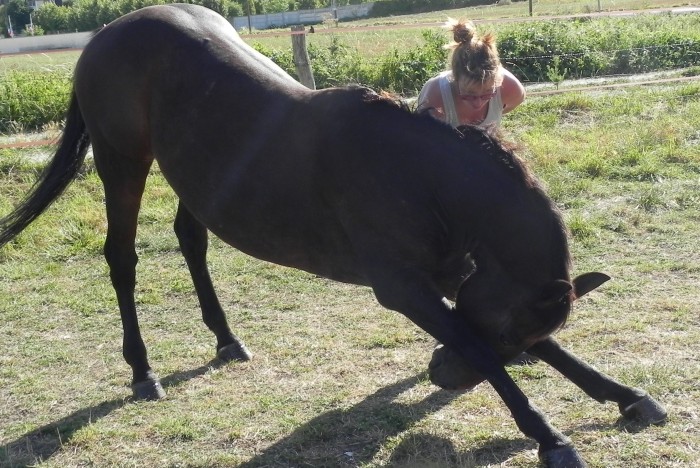 Photo de profil de matjousse