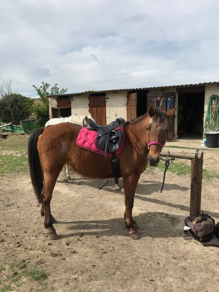 Photo de profil de maureen1379