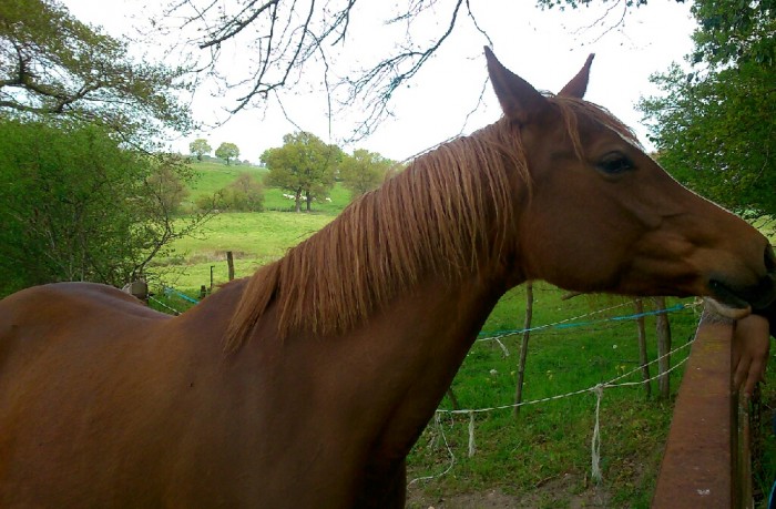 Photo de profil de mayerling1