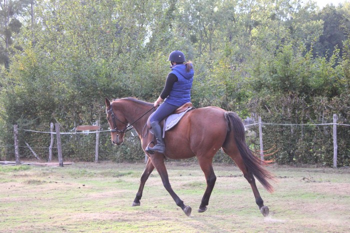 Photo de profil de maz_horse