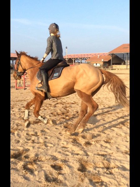 Photo de profil de meganemoliner