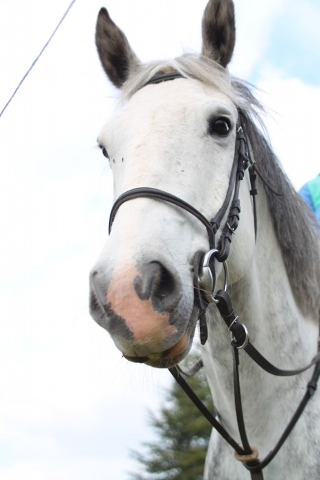 Photo de profil de melturp