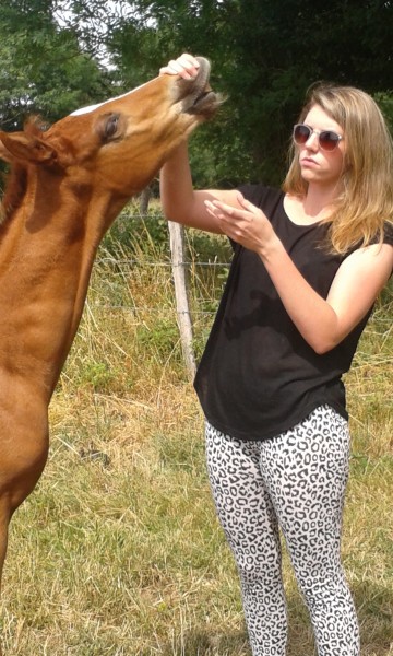 Photo de profil de melzair