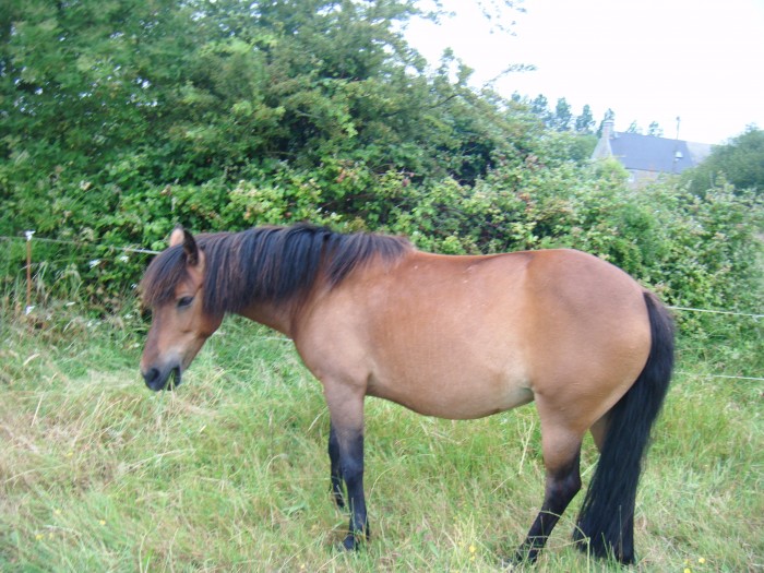 Photo de profil de meraude