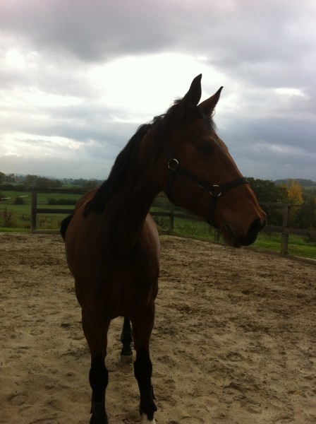 Photo de profil de mic35