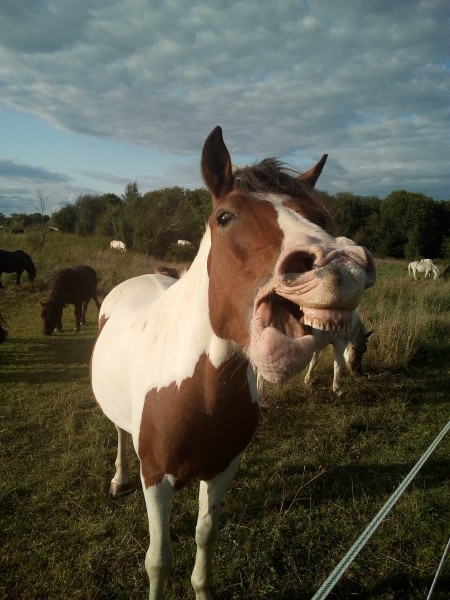 Photo de profil de milietexas
