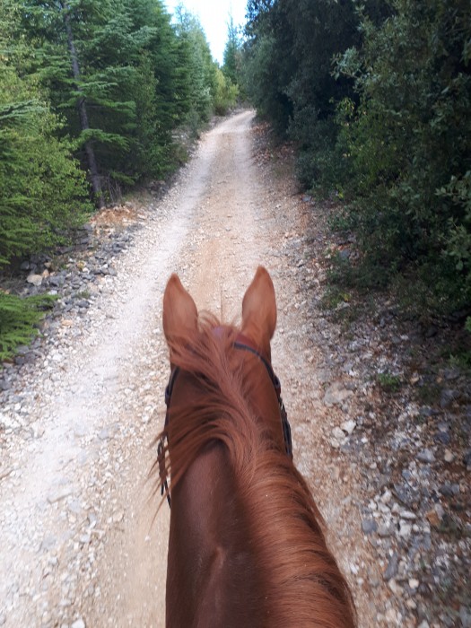 Photo de profil de mimillocom