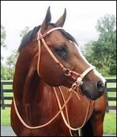 Photo de profil de minhyokim