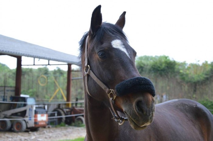 Photo de profil de miniiie