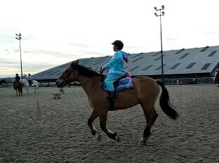 Photo de profil de misshorse2000