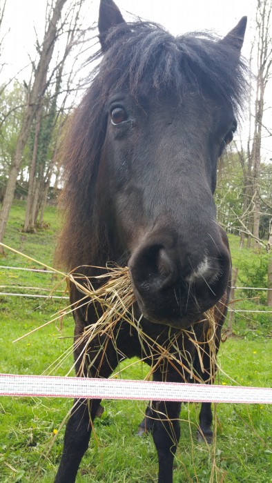 Photo de profil de miyan