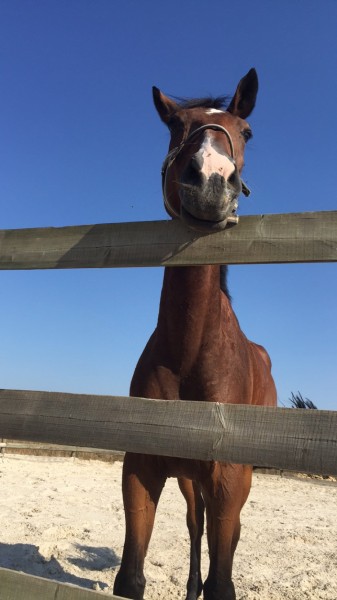Photo de profil de ml1207