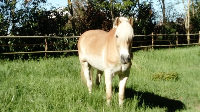 Photo de profil de mmecd