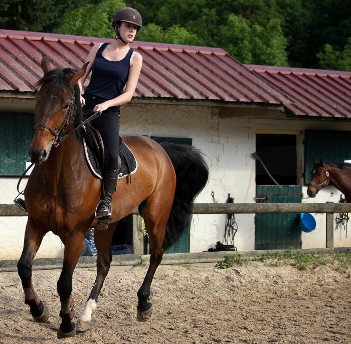 Photo de profil de m.moynault