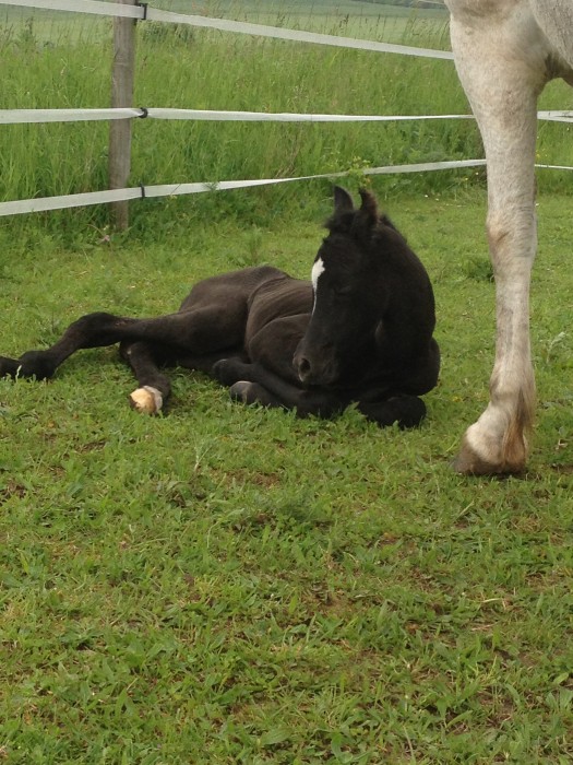 Photo de profil de mogotwillow