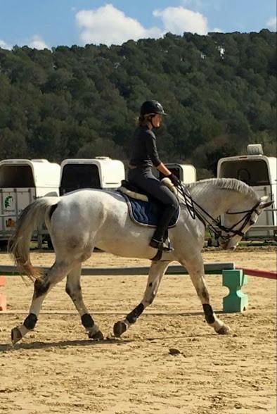 Photo de profil de momoctl