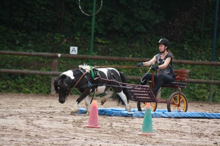 Photo de profil de monplaisir