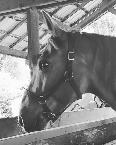 Photo de profil de montane05