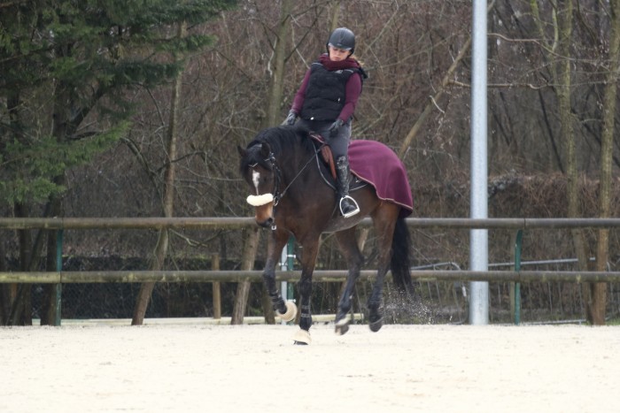 Photo de profil de morgane_rider