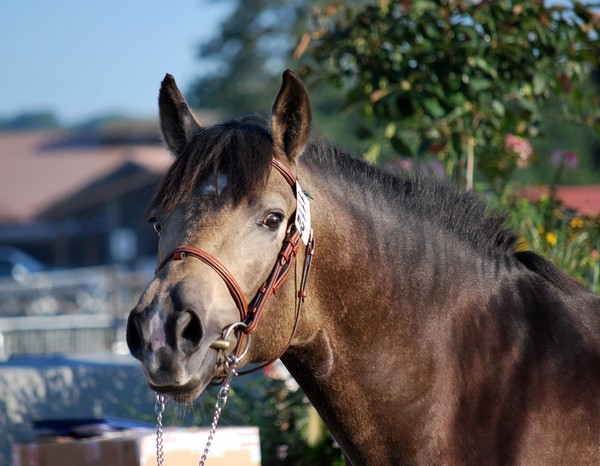 Photo de profil de mouna78