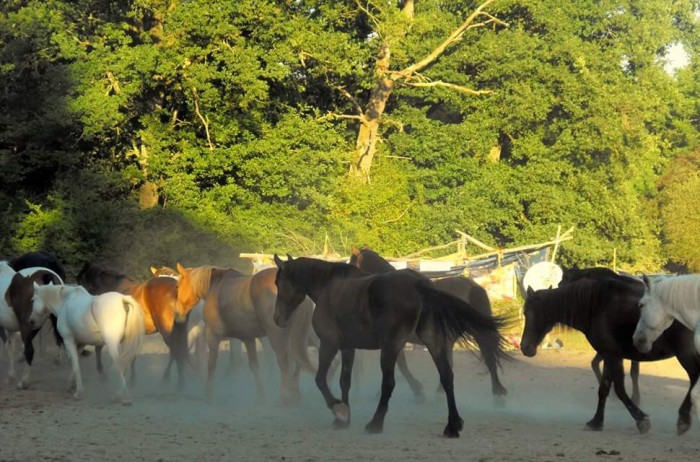 Photo de profil de moune97