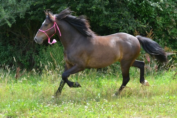 Photo de profil de mousse45