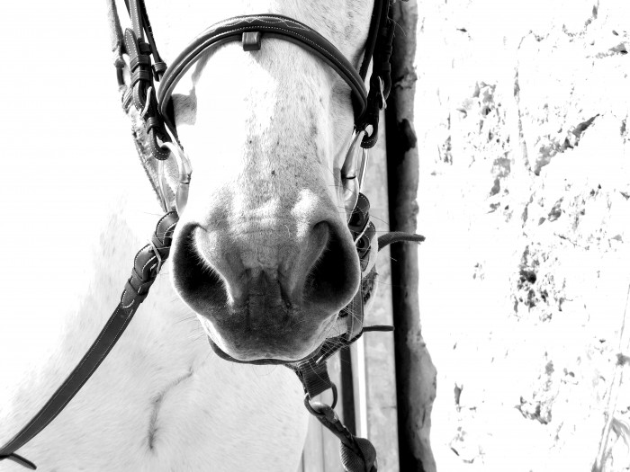 Photo de profil de moustache04