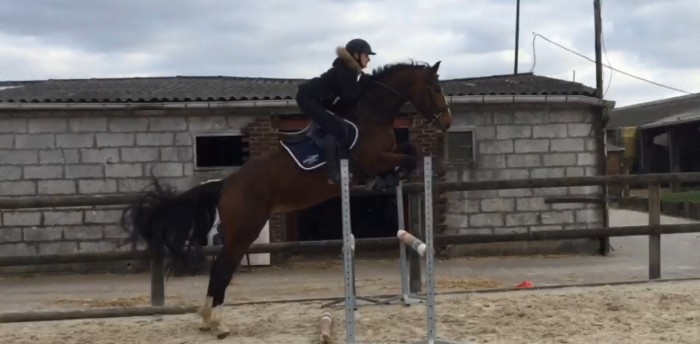 Photo de profil de m.payen44