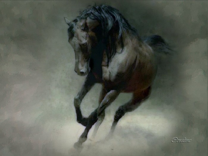 Photo de profil de mr1944