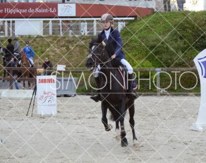 Photo de profil de mtel