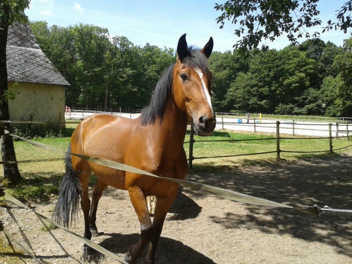 Photo de profil de mulot28
