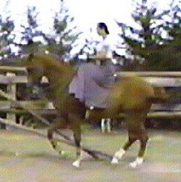 Photo de profil de mundial