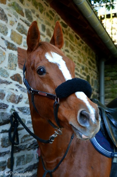Photo de profil de mxllelucy