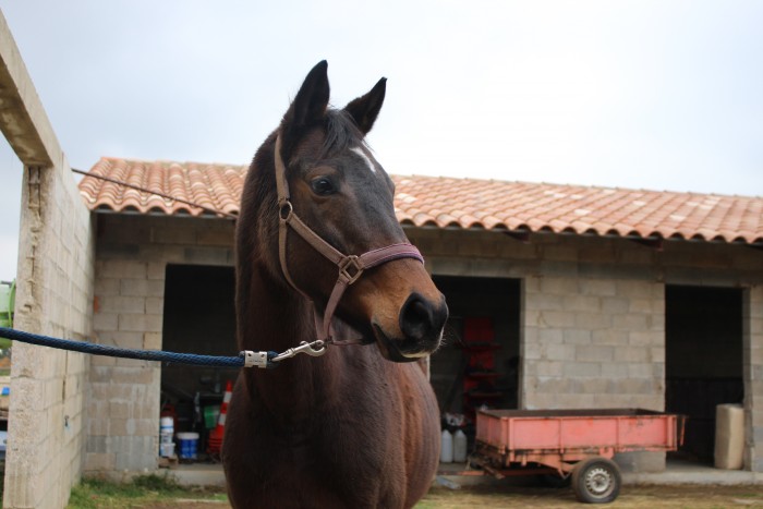Photo de profil de myaminette