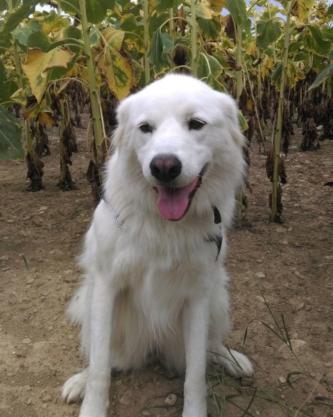 Photo de profil de mypatou