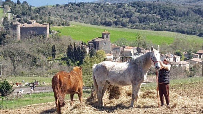 Photo de profil de najet