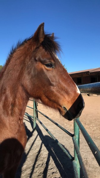 Photo de profil de nanoubert